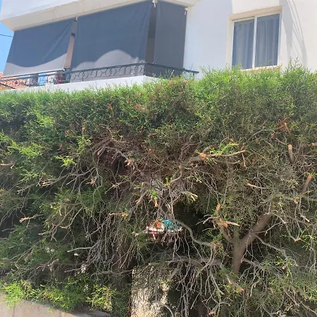 Apartmán Katia 101